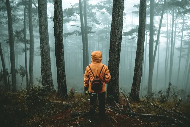 Turistika na chudnutie